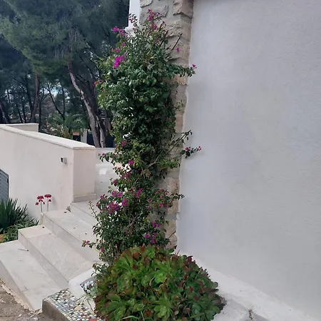 Villa 5 Etoiles Avec Piscine Chauffee, Petanque Et A 850 M *